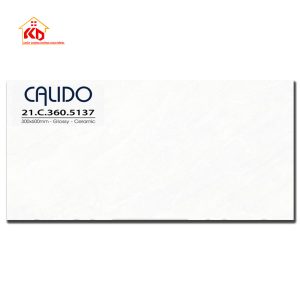 Gạch Calido 30x60cm 5137