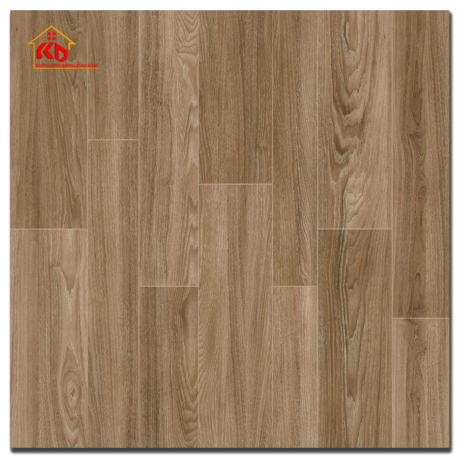 Gạch Calido 60x60cm 5610