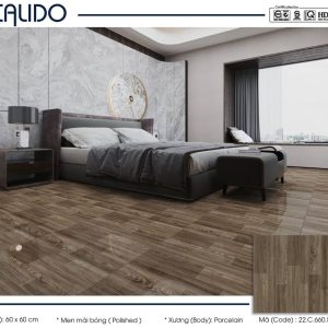 Gạch Calido 60x60cm 5611