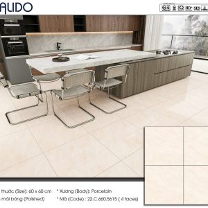 Gạch Calido 60x60cm 5615