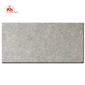 Gạch Viglacera 30x60cm AZ5-GM-3604