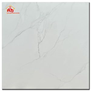 Gạch Viglacera 60x60cm AZ6-GP-6601