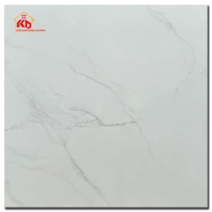 Gạch Viglacera 80x80cm AZ1-GP-8801