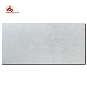 Gạch Viglacera 60x120cm AZ8-GP-61201