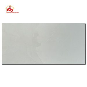 Gạch Viglacera 60x120cm AZ8-GP-61204