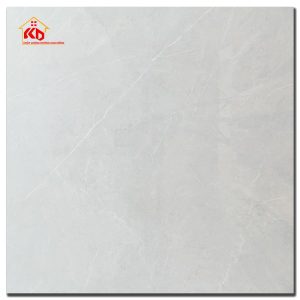 Gạch Viglacera 60x60cm AZ8-GP-6601