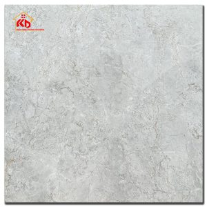 Gạch Viglacera 60x60cm AZ9-GP-6601