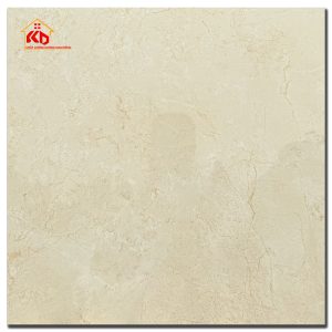 Gạch Viglacera 60x60cm AZ9-GP-6605