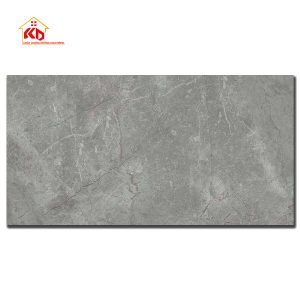 Gạch Viglacera 30x60cm CL364