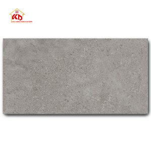 Gạch Eurotile 30x60cm SAT G03