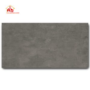 Gạch Eurotile 30x60cm THD G04