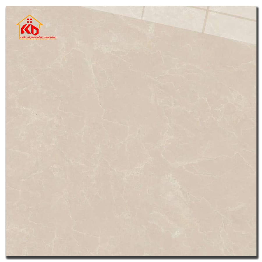 Gạch Viglacera 50x50cm CL-CE503