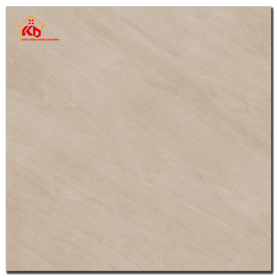 Gạch Viglacera 60x60cm CL-SM602