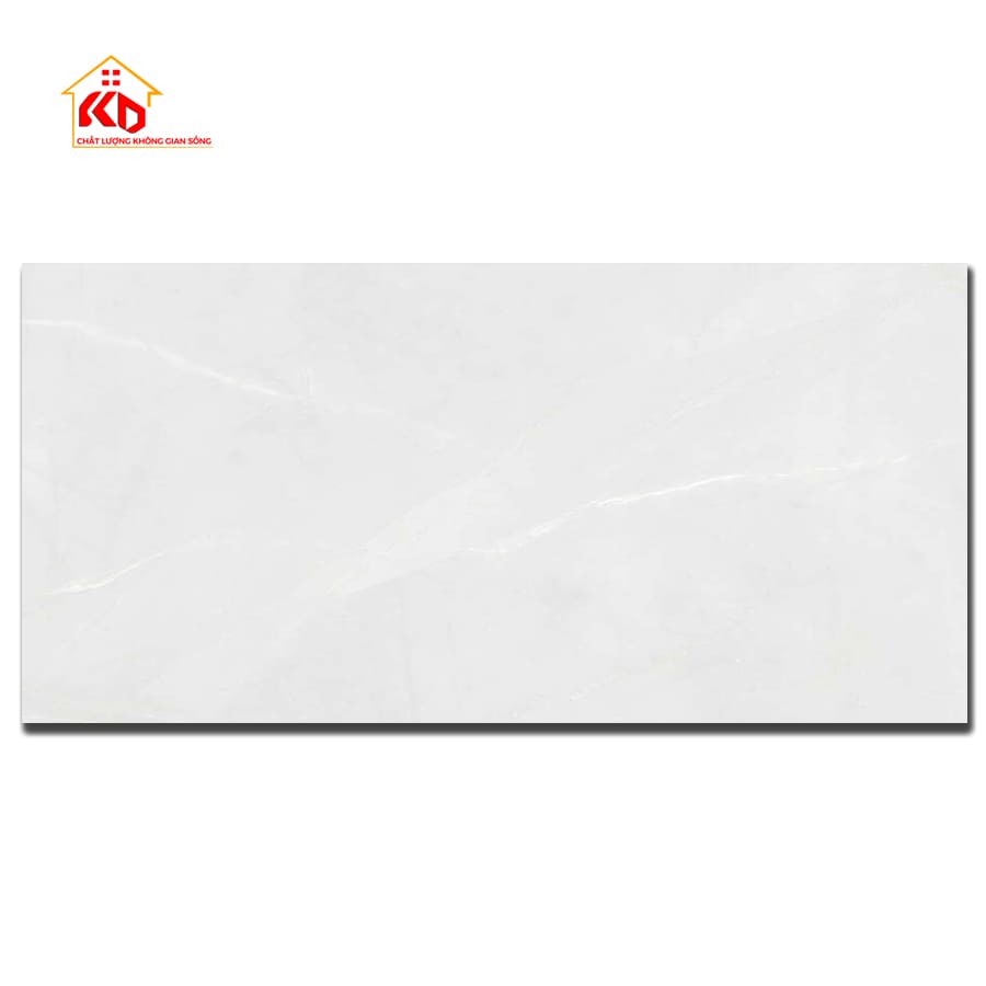 Gạch Viglacera 40x80cm CL5-GP4801