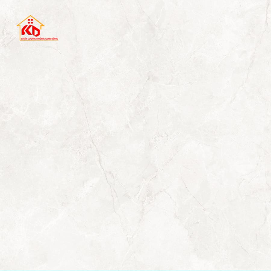 Gạch Eurotile 120x120cm NHC S04M