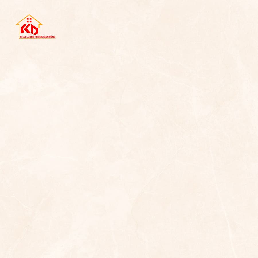 Gạch Eurotile 120x120cm NHC S05M