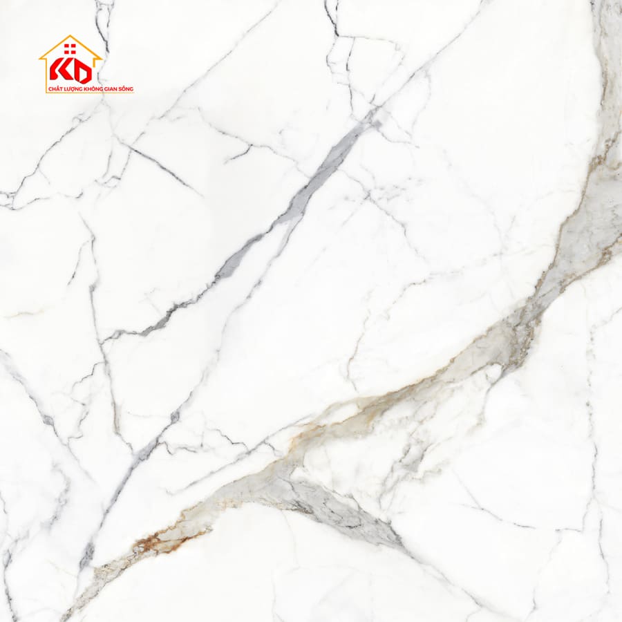 Gạch Eurotile 120x120cm PHL S01P