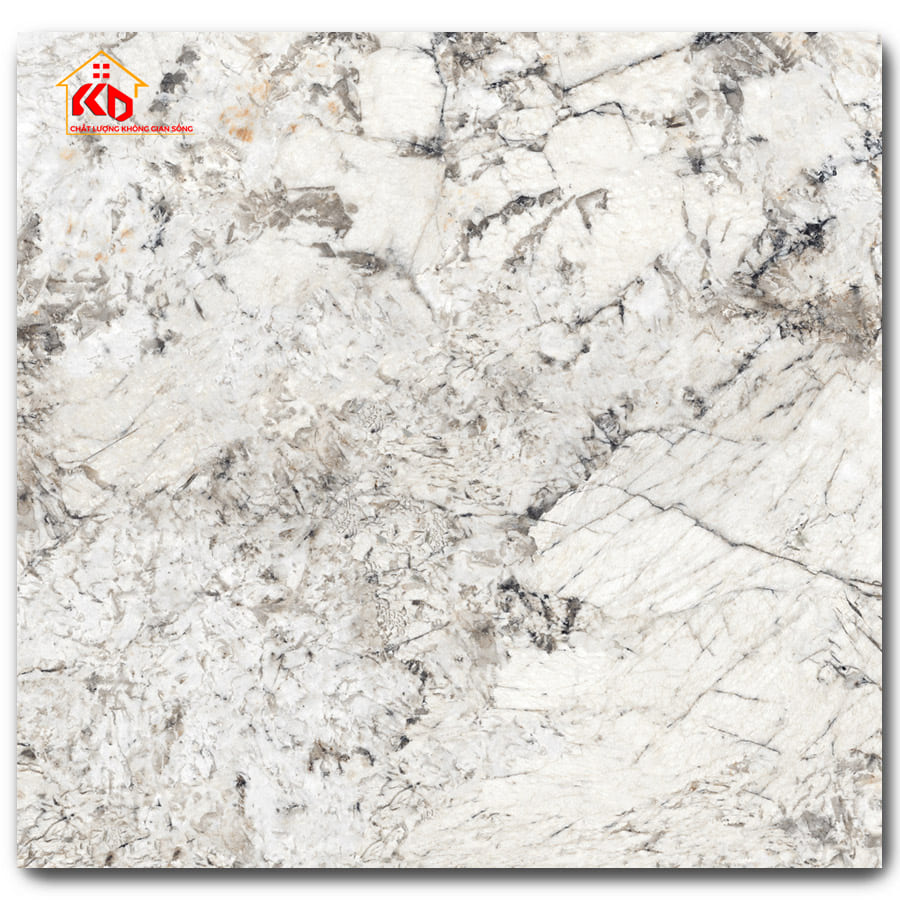 Gạch Eurotile 80x80cm SIG-NHV-E01