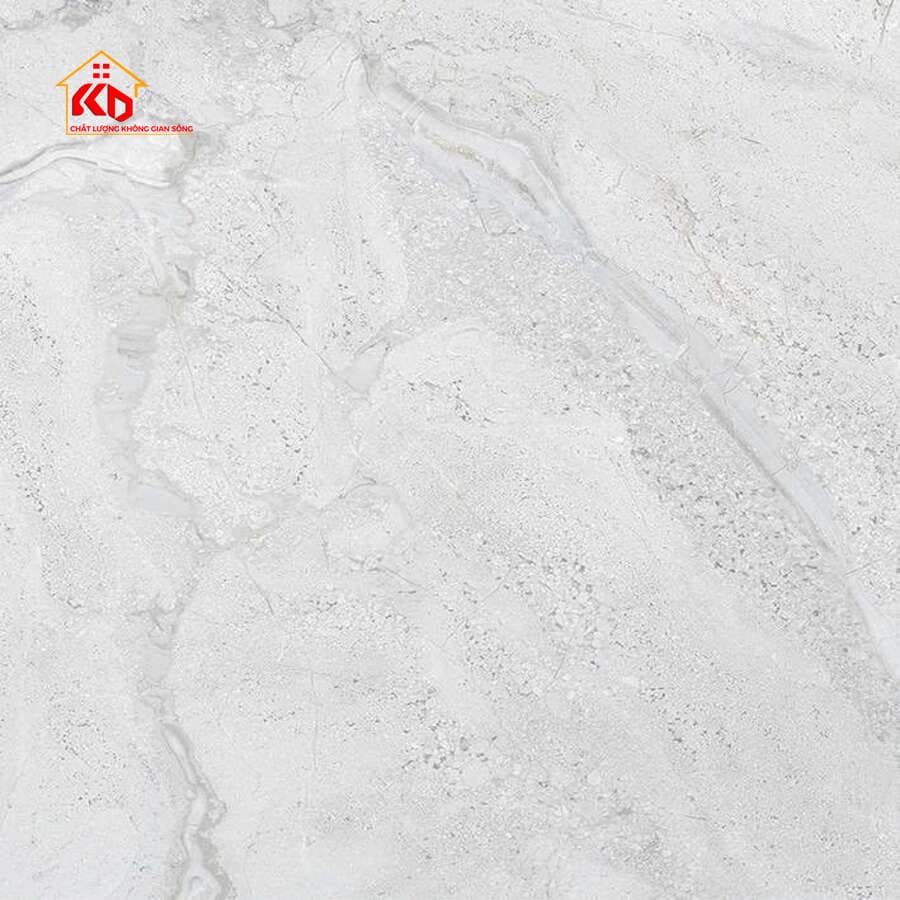 Gạch Viglacera 60x60cm AZ18 GP6601
