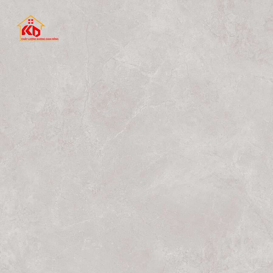 Gạch Viglacera 60x60cm CA2-GM6601