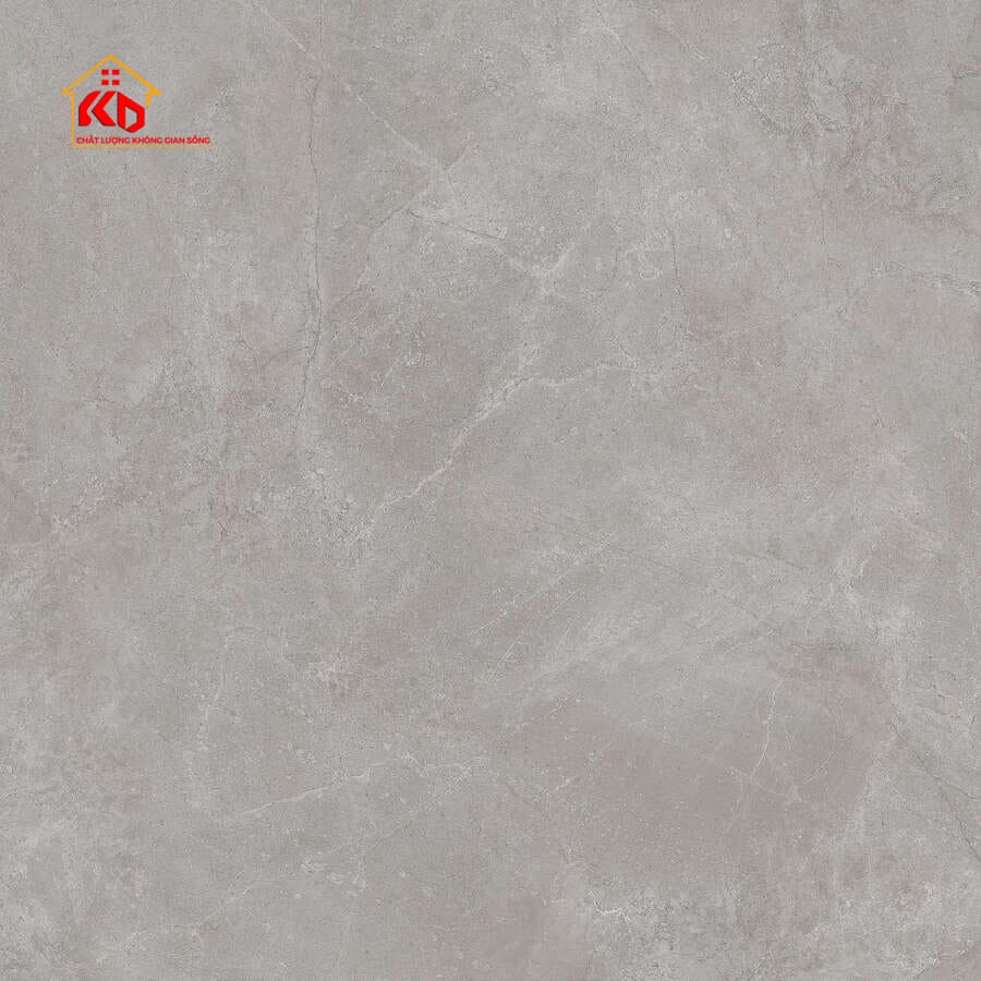 Gạch Viglacera 60x60cm CA2-GM6602