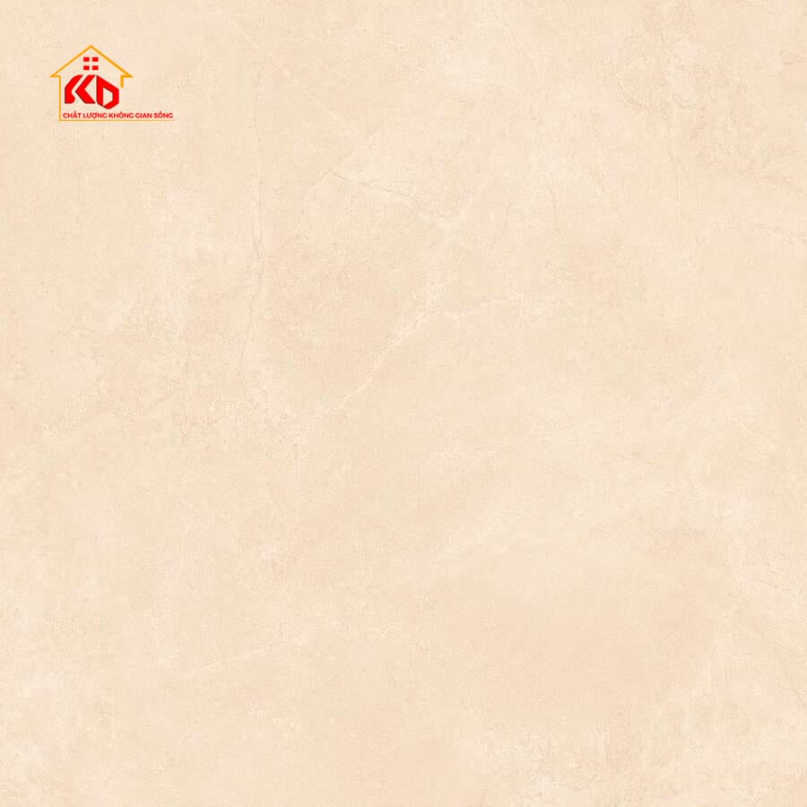 Gạch Viglacera 60x60cm CA2-GM6603