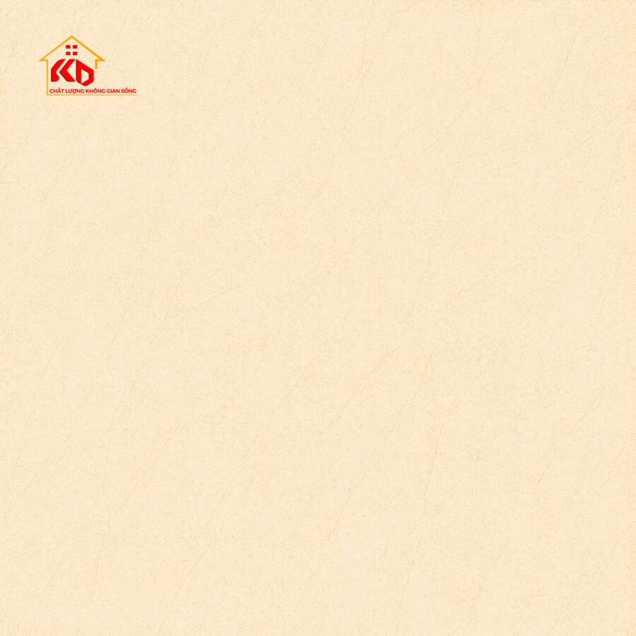 Gạch Viglacera 60x60cm ECOM605