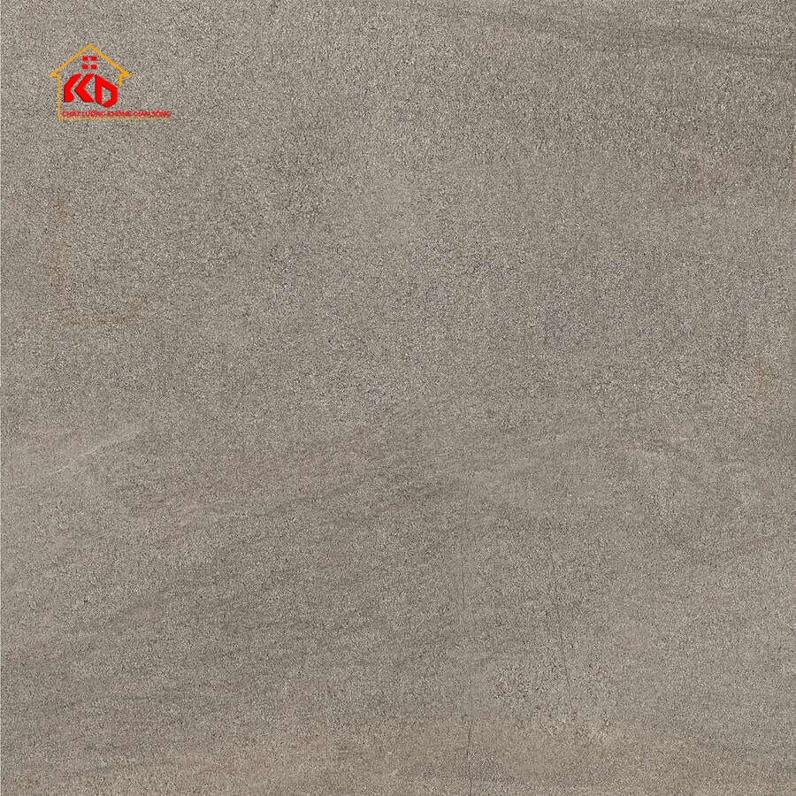 Gạch Viglacera 60x60cm