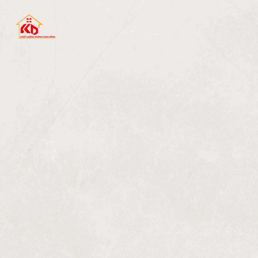 Gạch Viglacera 60x60cm MDK 662021