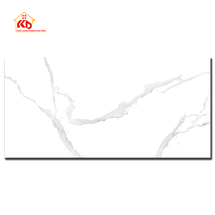 Gạch Viglacera 60x120cm NY12 GP61201