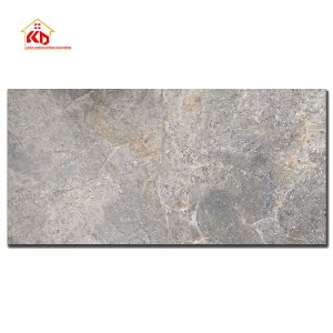 Gạch Viglacera 60x120cm