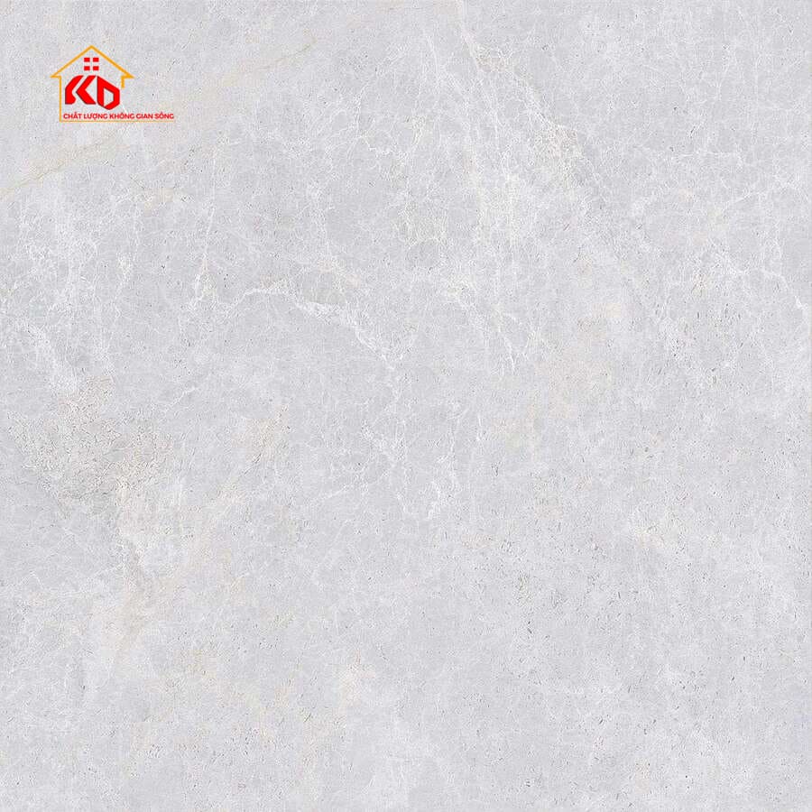 Gạch Viglacera 80x80cm NY17 GP8801