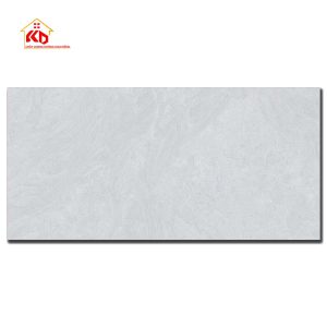 Gạch Viglacera 60x120cm