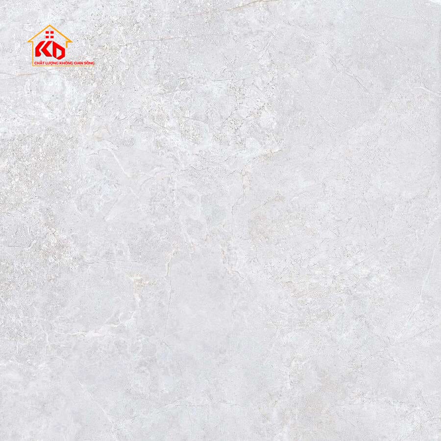 Gạch Viglacera 80x80cm NY16 GP8801
