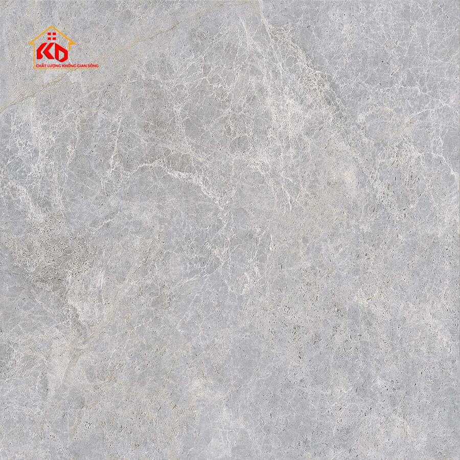 Gạch Viglacera 80x80cm NY17 GP8802