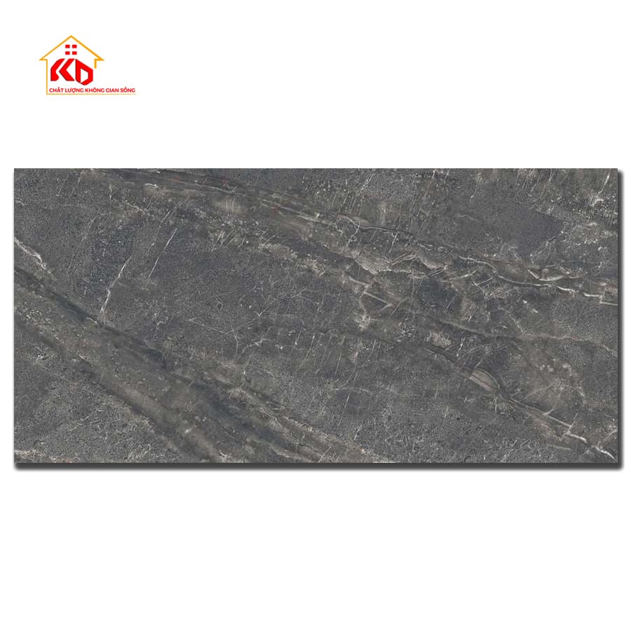 Gạch Viglacera 60x120cm NY3 GP61203