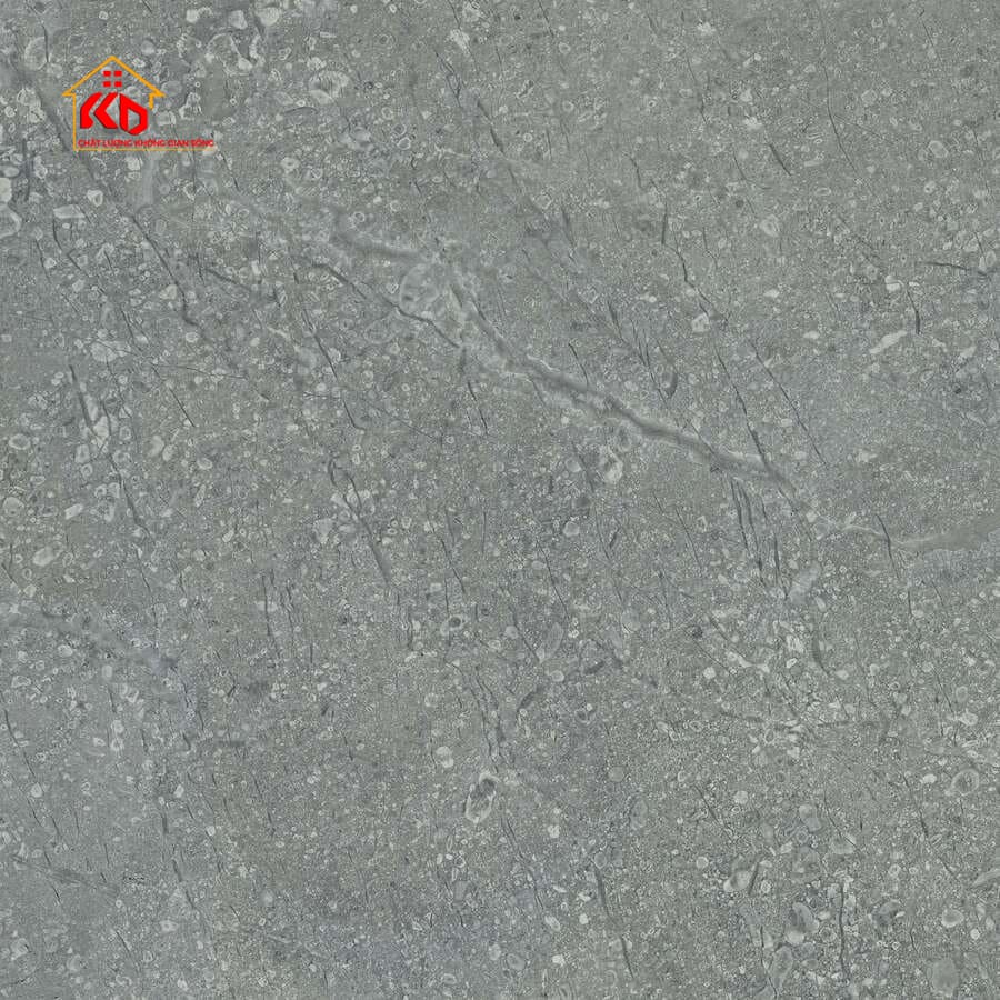 Gạch Viglacera 30x30cm SH 302