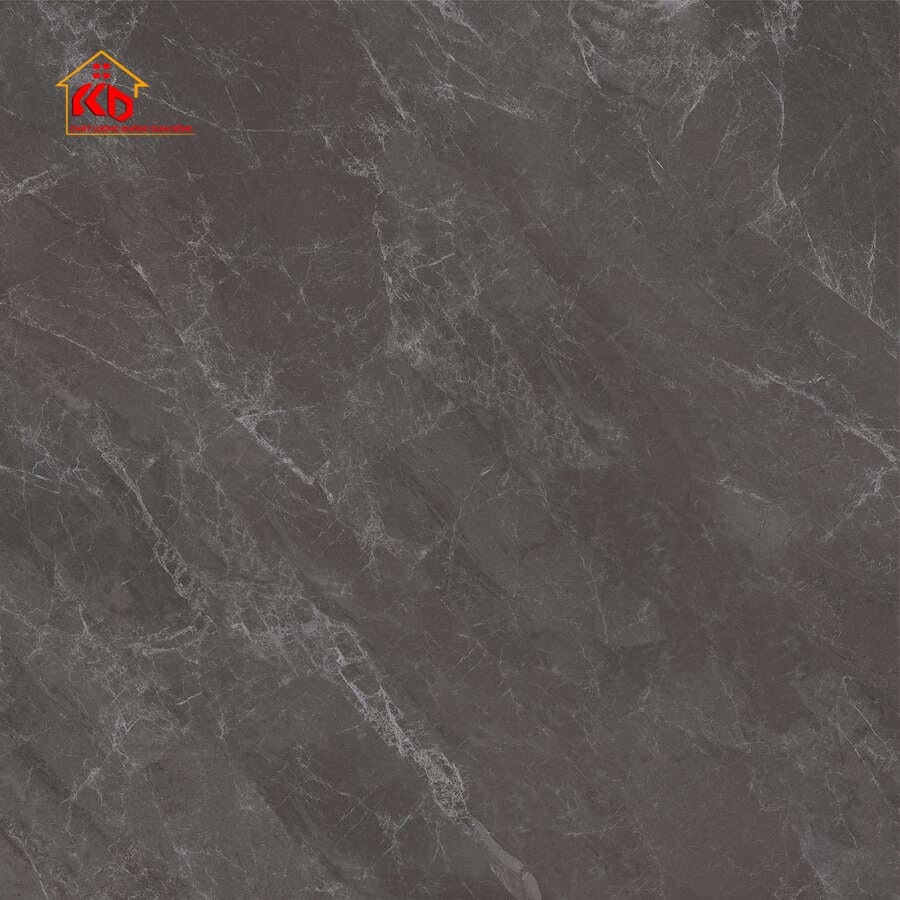 Gạch Viglacera 30x30cm SH 304