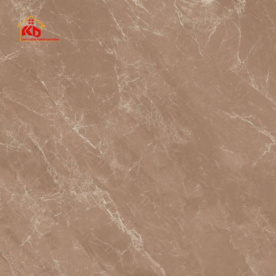 Gạch Viglacera 30x30cm SH 308